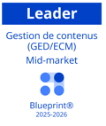 Blueprint - Gestion de contenus 2025 - Badge Leader (blanc)
