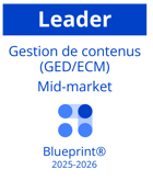 Blueprint - Gestion de contenus 2025 - Badge Leader (blanc)