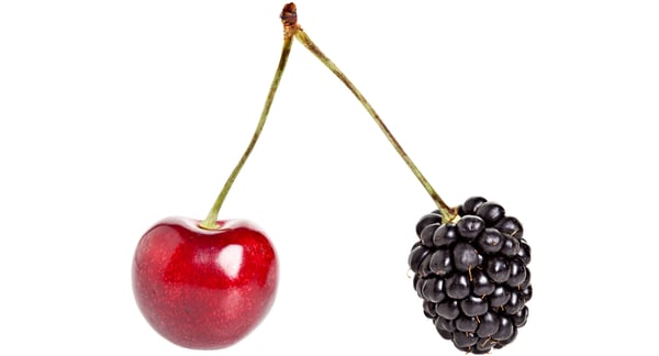 Cherry and blackberry how are they different