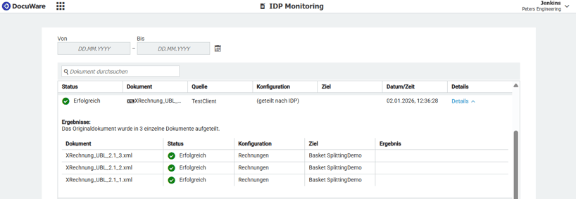 IDP_split_monitoring_DE