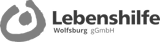 Lebenshilfe-online-logo-gr