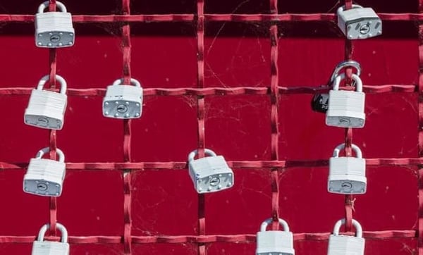 Locks on a dark pink metal fence enhances security