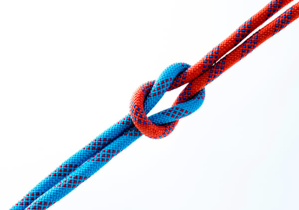 Ropes of blue and red in a single knot