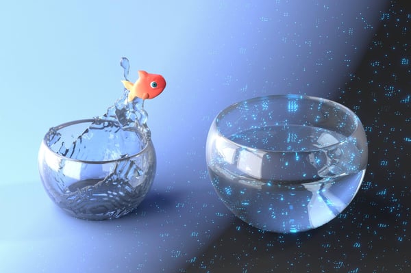 Gold fish jumping out of a small bowl into a  larger bowl representing the wider world of digitization