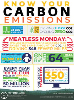 Carbon emissions poster