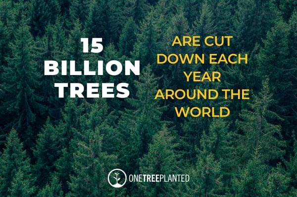 15 Billion Trees