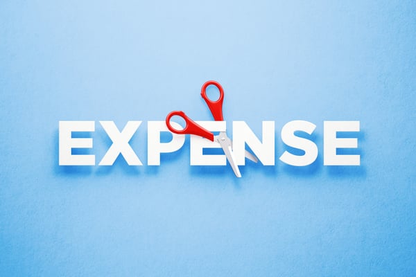 Red scissors cutting the word expense over blue background. Cutting costs concept. 