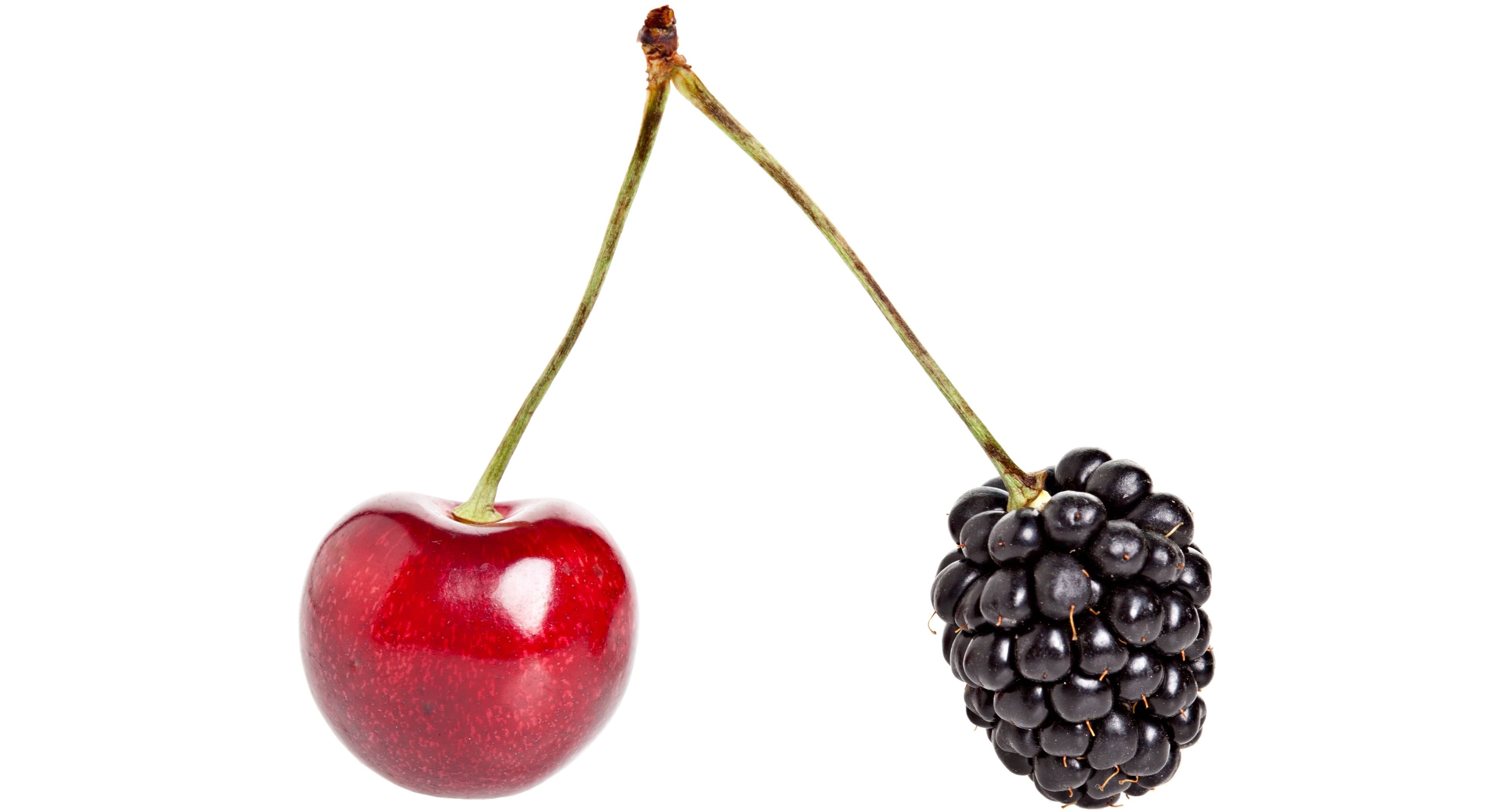 A red cherry and a blackberry symbolize how document and content management are similar but different