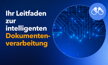 Leitfaden IDP