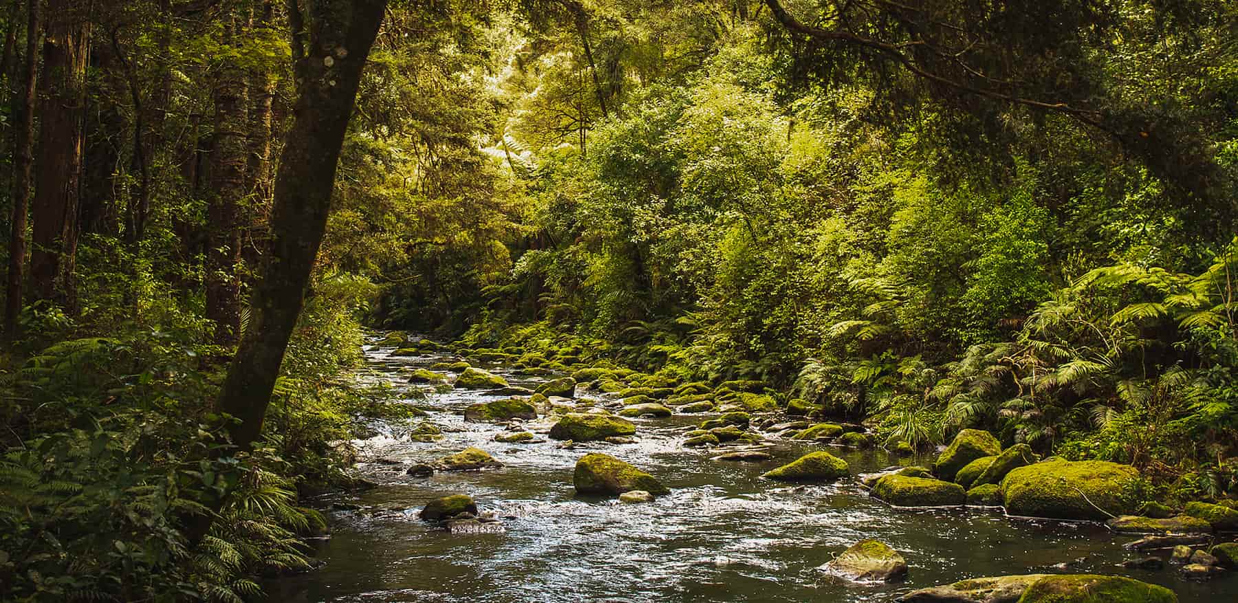pillar-background_stream