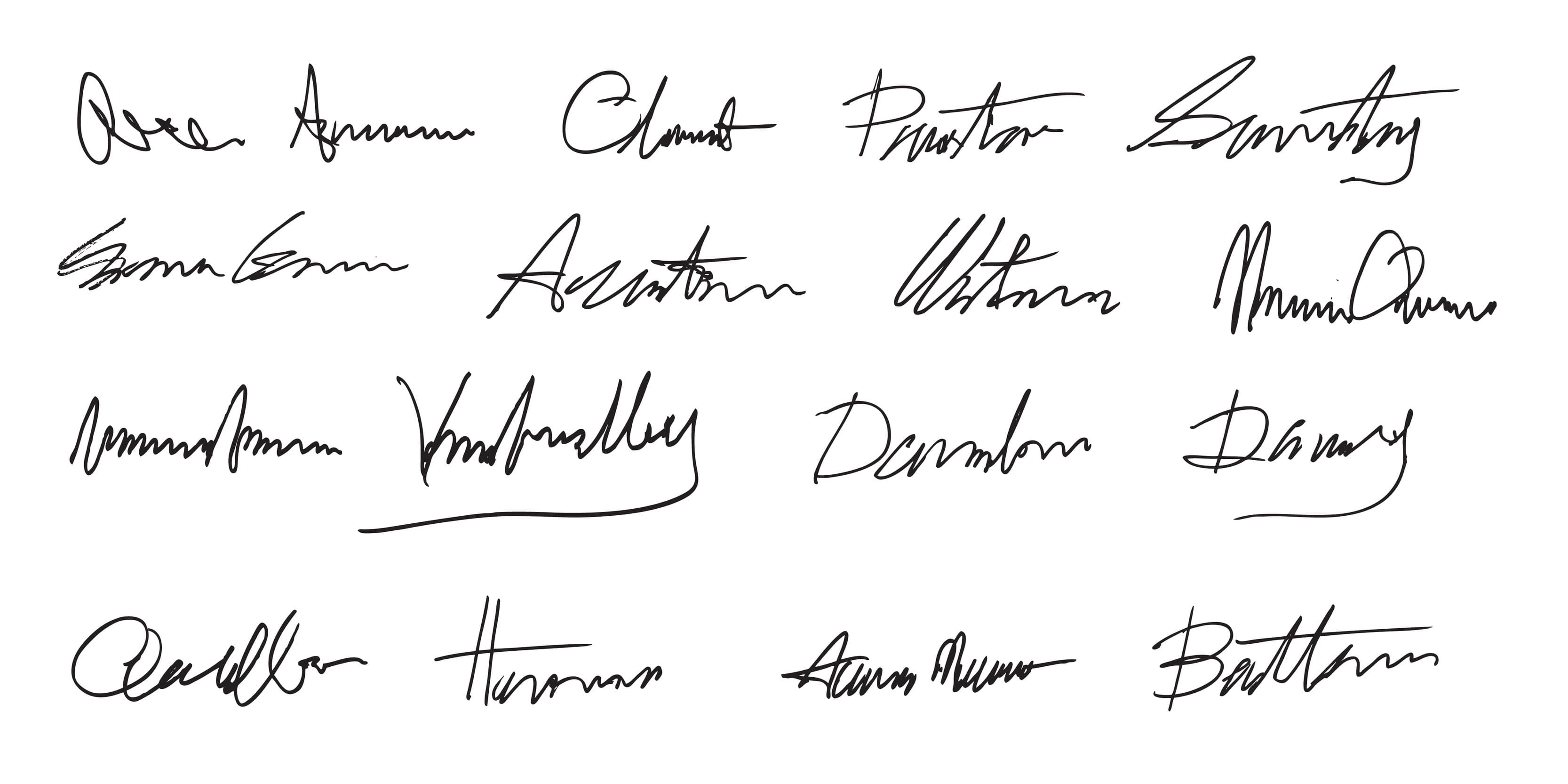 handwritten signatures on a white background